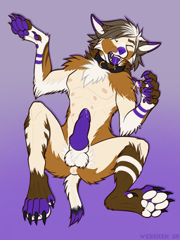 animal_genitalia bodily_fluids canine_genitalia collar cum cum_string eyes_closed feral fur fur_growth genital_fluids genitals growth knot male nipples open_mouth paws purple_insides snout snout_growth species_transformation tail tail_growth tongue tongue_out transformation unusual_insides wereren epsole canid canine canis domestic_dog fox humanoid husky hybrid mammal nordic_sled_dog spitz wolf absurd_res hi_res