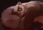 anthro black_body black_fur fur male pillow solo white_body white_fur warlocknyan blizzard_entertainment warcraft bear mammal pandaren 2016 hi_res