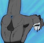 anthro anus balls bent_over blue_anus blue_insides blue_tongue butt genitals looking_at_viewer looking_back looking_back_at_viewer male presenting presenting_hindquarters solo tail tail_anus tongue may825 dottar mammal mustelid otter