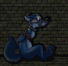 3_toes anthro beanie biped black_nose blue_body blue_fur blue_hair blue_tail blush bound brick_wall cheek_tuft chest_tuft cloth_gag clothing collar countershade_face countershade_torso countershading ears_back eyebrows facial_tuft feet fur gag gagged green_eyes hair hands_behind_back hat head_tuft headgear headwear looking_at_viewer male multicolored_body multicolored_fur muzzle_(object) muzzled nude pivoted_ears rope side_view sitting solo submissive submissive_male tail toes tuft two_tone_body two_tone_fur wall_(structure) rotten_robbie robbie_(rotten_robbie) canid canine canis mammal wolf digital_media_(artwork)
