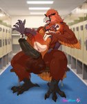 anthro balls beak big_balls big_dom_small_sub big_penis bodily_fluids butt dominant duo erection feathers feet genitals larger_male locker_room male male/male muscular muscular_male musk musk_clouds nipples nude pecs penis size_difference smug smug_face sweat tail tail_feathers talons toes eroskun gosskett accipitrid accipitriform avian bearded_vulture bird old_world_vulture vulture absurd_res digital_media_(artwork) hi_res