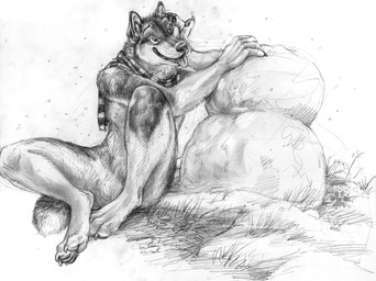 anthro claws finger_claws fur looking_aside male mostly_nude outside pawpads paws pointy_ears prick_ears scarf scarf_only simple_background sitting snow snowball snowman solo toe_claws tongue tongue_out white_background blotch scratches_volume_4 canid canine canis domestic_dog husky mammal nordic_sled_dog spitz 2010 monochrome traditional_media_(artwork)