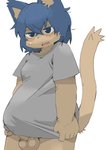 anthro balls biped blue_eyes blue_hair blush bottomless bulge cheek_tuft clothed clothing erection erection_under_clothing facial_tuft fangs fur genitals grey_clothing grey_shirt grey_topwear hair kemono looking_at_viewer male open_mouth penis shirt short_hair simple_background solo standing teeth tenting topwear tuft white_background yellow_body yellow_fur si_ra_ta_ma3 domestic_cat felid feline felis mammal absurd_res hi_res