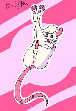 3_toes anthro anus arms_around_legs balls big_butt blep blush butt crossed_arms erection feet femboy fur genitals glans green_eyes hair half-closed_eyes humanoid_genitalia humanoid_penis legs_up looking_at_viewer lying male narrowed_eyes on_back pawpads penis perineum pink_anus pink_body pink_glans pink_inner_ear pink_pawpads pink_penis solo thick_thighs toes tongue tongue_out white_balls white_body white_fur white_hair white_perineum drifter reggie_(whygena) mammal murid murine rat rodent 2022 hi_res