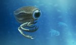 ambiguous_gender big_eyes black_eyes claws feral glistening glistening_eyes green_body group multi_limb pincers realistic realistic_feral solo_focus swimming underwater water olorotitan_(artist) arthropod crustacean dollocaris marine shrimp 2016 digital_drawing_(artwork) digital_media_(artwork)