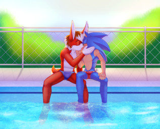 anthro clothing duo kissing male male/male outside poolside speedo swimwear mephistoxei sega sonic_the_hedgehog_(series) riyo sonic_the_hedgehog eulipotyphlan hedgehog lagomorph leporid mammal rabbit absurd_res hi_res