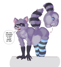 abdominal_bulge anthro balls belly belly_inflation butt buttplug clothing genitals inflated_belly inflation legwear male plug_(sex_toy) raised_tail sex_toy solo tail text thigh_highs frank22young mammal procyonid raccoon absurd_res english_text hi_res