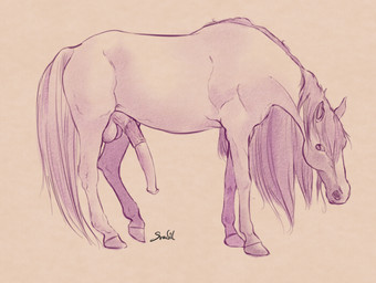 anatomically_correct anatomically_correct_genitalia anatomically_correct_penis animal_genitalia animal_penis balls big_penis equine_genitalia equine_penis erection feet feral genitals hooves iris long_snout male mane no_pupils penis quadruped side_view simple_background snout solo svadil equid equine horse mammal 2014 digital_media_(artwork) monochrome signature