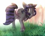 clothed clothed_feral clothing cutie_mark female feral fur hair hooves looking_at_viewer looking_back panties pose solo underhoof underwear wings woofarin hasbro my_little_pony fan_character rune_riddle equid equine horse mammal pony absurd_res hi_res