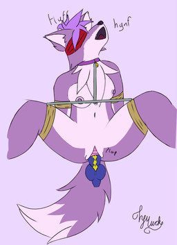 anthro areola bdsm blindfold bondage bound breasts chest_tuft collar countershading disembodied_penis duo female fluffy genitals hands_tied knot knotted_penis legs_in_air legs_tied looking_pleasured lying male nude on_back open_mouth penetration penile penile_penetration penis penis_in_vagina restraints sex simple_background smile sound_effects spread_legs spreader_bar spreading tail tuft vaginal vaginal_penetration vulva themuck absurd_res animated hi_res no_sound short_playtime video