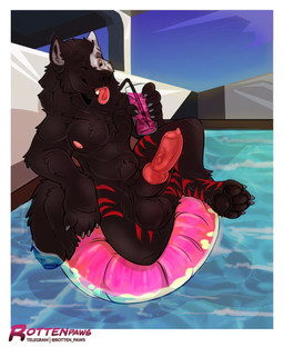 animal_genitalia animal_penis anthro balls beverage big_balls black_body black_fur canine_genitalia canine_penis erection fur genitals knot knotted_penis male nipples nude penis pool_float red_stripes scrotum_flap sheath solo stripes swimming_pool tongue tongue_out water white_body white_fur rotten_paws azki_(azki_wolf) canid canine canis mammal wolf hi_res