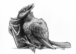 alcohol ambiguous_gender beak beer beverage can container feral food simple_background solo white_background bombird guinness avian bird corvid corvus_(genus) crow oscine passerine raven 2012 greyscale monochrome sketch