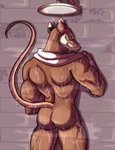 anthro athletic back_muscles bathroom biceps butt looking_at_viewer looking_back male muscular muscular_male nude pose rear_view shower solo towel triceps wet traitmill teenage_mutant_ninja_turtles teenage_mutant_ninja_turtles_(2012) master_splinter mammal murid murine rat rodent hi_res