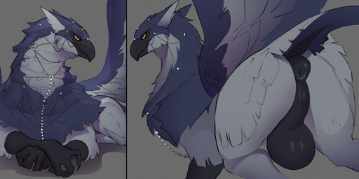anus balls beak big_balls big_perineum black_anus black_balls black_beak black_perineum blue_body blue_feathers butt claws feathered_wings feathers feral finger_claws genitals grey_background jewelry male male_feral multicolored_body perineum puffy_anus quadruped simple_background solo white_body white_feathers wings yellow_eyes idrysse3 mythology avian gryphon mythological_avian mythological_creature 2026 digital_media_(artwork) hi_res