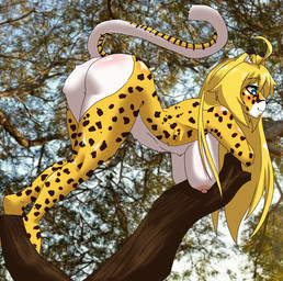 ahoge anthro big_breasts big_butt biped black_nose black_spots blonde_hair blue_eyes blush breasts butt casual_nudity day digitigrade dipstick_ears ear_markings female fur hair long_hair markings multicolored_body multicolored_ears multicolored_fur nude nude_female outside plant solo spots spotted_body spotted_fur tail tail_markings tree white_body white_fur yellow_body yellow_fur kayserend orchid_oropelt cheetah felid feline humanoid mammal hi_res mixed_media tagme