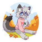 anthro autumn beverage blue_eyes bottomless bottomless_anthro bottomless_male clothed clothing cloud coffee container cup dipstick_ears dipstick_fingers dipstick_tail dipstick_toes ear_markings eyewear femboy fur glasses grey_body hair heart_symbol holding_container holding_object leaf leaves_blowing looking_at_viewer male markings multicolored_ears outside pawpads paws pink_clothing pink_nose pink_sweater pink_topwear shirt sky smile solo sweater tail tail_markings topwear turtleneck wind fleurfurr nixuelle domestic_cat egyptian_mau felid feline felis mammal digital_media_(artwork) hi_res