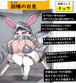 amputee areola belly big_breasts blush bone bra breasts clothing death disability female fur knife melee_weapon missing_leg navel nude red_eyes scar shark_hoodie slightly_chubby slightly_chubby_female sword text underwear weapon white_body white_fur mg0rx asian_mythology east_asian_mythology japanese_mythology mythology fish lagomorph leporid mammal marine rabbit shark hi_res japanese_text translation_check translation_request unavailable_at_source