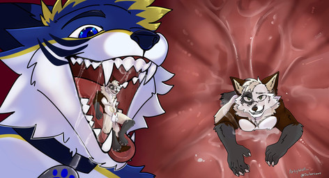 anthro blue_body blue_eyes blue_fur bodily_fluids duo extreme_size_difference fur grey_body grey_fur grin macro male male/male micro mouth_shot open_mouth oral_vore saliva saliva_on_tongue saliva_string sitting_on_tongue size_difference smile swallowing teeth teeth_showing throat tongue vore white_body white_fur willing_prey artywolf bluefiger digitfox canid canine canis fox mammal wolf absurd_res hi_res
