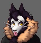 anthro bone clothed clothing fur_collar male piercing skull skull_head solo tongue tongue_out tongue_piercing whiskers yellow_eyes thefoxwife skullcat_(species) headshot_portrait hi_res portrait