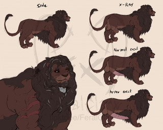 animal_genitalia balls big_balls big_muscles big_penis big_sheath brown_body brown_fur butt erection expressions feral feral_on_feral fur genitals huge_balls huge_muscles huge_penis huge_sheath hyper hyper_balls hyper_genitalia hyper_penis hyper_sheath king larger_pred looking_at_viewer male mane muscular muscular_feral muscular_male open_mouth penile penile_spines penis presenting profile royalty scar sheath simple_background size_difference smile solo tail teeth thick_thighs vein view feralclaw disney the_lion_king fan_character felid feline felis lion mammal pantherine digital_media_(artwork) hi_res model_sheet sketch