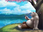 anthro belly black_nose bottomwear clothing detailed_background eyewear fur glasses humanoid_hands male moobs outside overweight overweight_anthro overweight_male plant shorts sitting solo tree water white_body white_fur henjikotetsu bear mammal polar_bear ursine 2018