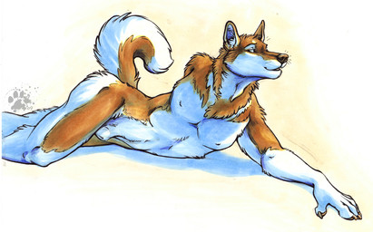 animal_genitalia anthro brown_body brown_fur claws curled_tail finger_claws fully_sheathed fur genitals inner_ear_fluff looking_at_viewer lying male nipples nude nude_anthro nude_male pointy_ears prick_ears seductive sheath simple_background solo tail tuft white_background white_body white_fur blotch scratches_volume_3 canid canine canis domestic_dog husky mammal nordic_sled_dog spitz 2009 traditional_media_(artwork)