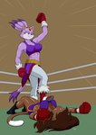 anthro boxing_gloves breasts clothing duo female fighting_ring footwear handwear lying on_back shoes smile standing wendel_fragoso sega sonic_the_hedgehog_(series) blaze_the_cat deborah_bispo domestic_cat felid feline felis mammal hi_res