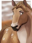 ambiguous_gender brown_body brown_eyes brown_mane brown_tail feral glistening glistening_eyes mane markings mouth_closed solo spots tail white_body white_markings white_spots imperatorcaesar equid equine horse mammal hi_res