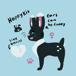 black_body black_fur blue_background female female_feral feral fur multicolored_body multicolored_fur simple_background solo toony two_tone_body two_tone_fur igotthebooty warriors_(book_series) fan_character hoppykit_(igotthebooty) domestic_cat felid feline felis lagomorph leporid mammal rabbit 1:1 2026 full-length_portrait model_sheet portrait