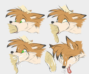 ambiguous_gender ambiguous_on_human balls base_two_layout basic_sequence bestiality black_body black_fur black_markings black_nose bodily_fluids breath cheek_bulge cum cum_in_mouth cum_inside cum_on_face cum_on_penis cum_on_tongue cute_fangs deep_throat duo ear_markings erection eye_roll facial_markings fangs fellatio feral four_frame_image four_frame_sequence fur genital_fluids genitals green_eyes grid_layout half-erect head_grab head_markings human_on_feral inner_ear_fluff interspecies looking_at_genitalia looking_at_penis looking_forward looking_up male male/ambiguous male_on_feral markings neck_bulge one_eye_closed oral oral_penetration orange_body orange_fur penetration penile penis pink_tongue saliva sex simple_background snout solo_focus swallowing tears teeth tongue tuft two_row_layout white_body white_fur pokki.dots pokki_(pokki.dots) canid canine fox human mammal red_fox true_fox 2016 6:5 absurd_res hi_res multiple_scenes sequence