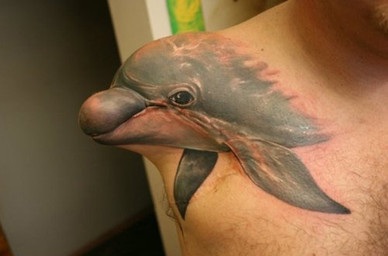 amputee body_hair chest_hair disability feral male military real soldier solo tattoo tattoo_(artwork) warrior unknown_artist aquatic cetacean dolphin human mammal oceanic_dolphin toothed_whale grandfathered_content
