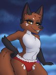 anthro belly biped black_arms black_ears black_nose bulge cheek_markings cheek_tuft claws clothing eyebrows eyelashes facial_markings facial_tuft femboy finger_claws fog fox_tail fur fur_markings grinning_at_viewer head_markings heart_nose heart_symbol holidays male markings night orange_body orange_fur panties pawpads pseudo_eyeshadow pseudo_gloves red_clothing red_panties red_underwear sky sky_background skyscape slim solo tuft underwear white_belly white_eyebrows white_markings white_waistband yellow_eyes amanda_moon christmas nintendo pokemon canid canine fox generation_8_pokemon mammal nickit pokemon_(species) 3:4 half-length_portrait hi_res portrait signature