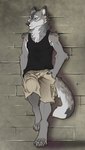 4_toes against_surface against_wall anthro arm_tuft athletic athletic_anthro athletic_male barefoot biped black_claws black_nose blue_eyes bottomwear brick_wall cargo_shorts cheek_tuft claws clothing countershading digitigrade dipstick_ears ear_markings elbow_tuft facial_tuft feet finger_claws fingers fluffy fluffy_fur fluffy_tail foot_on_wall fur grey_body grey_fur grey_pawpads hand_in_pocket leaning_against_wall male mane multicolored_body multicolored_ears multicolored_fur neck_tuft pawpads paws pivoted_ears pockets relaxing shaded_background shadow shirt shorts shoulder_tuft snout solo standing tail tank_top toe_claws toes topwear tuft wall_(structure) eisenheim matt_quickfoot canid canine canis mammal wolf 2019 flat_colors full-length_portrait hi_res portrait shaded