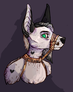 anthro bdsm bondage bound female muzzle_(object) muzzled rope snout solo kolkolukija canid canine canis domestic_dog mammal