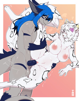 anthro anthro_on_anthro anthro_penetrated anthro_penetrating anthro_penetrating_anthro areola balls biped blush blush_lines braided_hair braided_ponytail breasts butt duo female female_penetrated fingers fluffy fluffy_chest fur genitals hair hair_over_eye heart_(marking) heart_symbol inner_ear_fluff male male/female male_penetrating male_penetrating_female markings navel nipples nude nude_anthro nude_female nude_male one_eye_obstructed penetration penile penile_penetration penis penis_in_vagina pinned pinned_to_wall ponytail purple_eyes sex side_view smile spots spotted_body spotted_fur tail tuft tufted_fur vaginal vaginal_penetration vulva white_body white_fur white_hair thericegoat mythology freya_(xaineth) thyke arctic_fox canid canine dragon fox mammal mythological_creature mythological_scalie scalie true_fox absurd_res hi_res