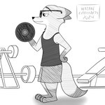 anthro athletic_wear barefoot bottomwear canid canine clothed clothing dipstick_ears dipstick_tail disney ear_markings exercise exercise_equipment feet fox gloves_(marking) gym hatakeclarissarts hi_res inktober inktober_2024 leg_markings male mammal markings monochrome multicolored_ears nick_wilde red_fox shirt shorts socks_(marking) solo standing tail tail_markings topwear true_fox weightlifting weights workout zootopia