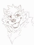 anthro fangs male open_mouth solo teeth tongue heylaw21 lifewonders live_a_hero barrel_(live_a_hero) canid canine canis mammal wolf 2024 digital_media_(artwork) hi_res sketch