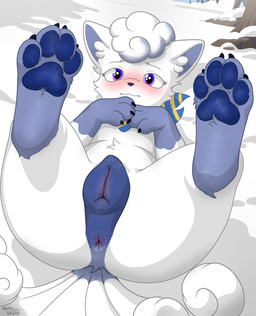 4_toes animal_genitalia animal_vulva anus blue_pawpads blue_vulva blush bodily_fluids butt canine_genitalia canine_vulva claws clothing feet female female_feral feral foot_focus fur genitals kerchief legs_up looking_at_viewer multi_tail neckerchief neckwear nude pawpads paws presenting presenting_anus presenting_hindquarters presenting_vulva shy simple_background soles solo spread_legs spreading tail toe_claws toes vulva white_body white_fur whyvern nintendo pokemon alolan_form alolan_vulpix canid generation_1_pokemon generation_7_pokemon mammal pokemon_(species) regional_form_(pokemon) absurd_res digital_media_(artwork) hi_res