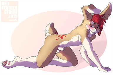 all_fours animal_genitalia anthro balls biped blush buckteeth claws feet folded_ears genitals hair hindpaw looking_at_viewer male nude pawpads paws penis penis_tip pink_nose pink_pawpads purple_eyes red_hair sheath solo teeth text toe_claws whiskers skylardoodles lagomorph leporid mammal rabbit 2015 3:2 artist_name dated digital_media_(artwork) shaded