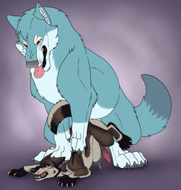 abdominal_bulge anal anal_penetration animal_genitalia animal_penis black_pawpads blue_body blue_fur blue_tail brown_body brown_fur brown_tail canine_genitalia canine_penis cheek_tuft claws dipstick_tail duo ears_back erection facial_tuft fangs feral feral_on_feral feral_penetrated feral_penetrating feral_penetrating_feral from_behind_position fur genitals grey_body grey_claws grey_fur grey_pawpads grey_tail head_tuft knot knotted_penis large_penetration larger_feral larger_male lying male male/male male_feral male_penetrated male_penetrating male_penetrating_male markings multicolored_body multicolored_fur nude on_front open_mouth pawpads penetration penile penile_penetration penis pink_tongue pinned pivoted_ears purple_eyes purple_sclera red_penis sex simple_background size_difference smaller_feral smaller_male smaller_penetrated tail tail_markings teeth tongue tongue_out tuft white_claws yellow_eyes yellow_sclera killthe_demon canid canine mammal hi_res