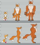 2_tails 4_toes 5_fingers after_transformation anthro before_and_after biceps big_muscles body_size_growth chart digitigrade fangs feet fingers front_view fur growth height_chart huge_muscles male multi_tail multicolored_body multicolored_fur muscle_growth muscular orange_body orange_fur pecs side_view size_transformation solo tail teeth teeth_showing toes transformation transformation_by_substance transformation_sequence two_tone_body two_tone_fur white_body white_fur yellow_body yellow_fur herculesrazor sega sonic_the_hedgehog_(series) miles_prower canid canine fox mammal monster hi_res