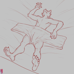 5_fingers 5_toes anthro barefoot bed bedding briefs bulge claws clothed clothing eyes_closed feet finger_claws fingers fur furniture humanoid_feet lying male male_anthro on_back on_bed paws plantigrade shrinking shrinking_out_of_clothes size_transformation sleeping smile soles solo toe_claws toes topless transformation unaware_transformation underwear underwear_only modem_redpill beastars legoshi_(beastars) canid canine canis mammal wolf 1:1 2025 absurd_res hi_res monochrome signature sketch