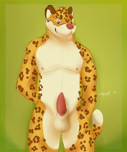 animal_genitalia animal_penis anthro balls blue_eyes brown_body brown_fur erection feline_genitalia feline_penis fur genitals green_background looking_at_viewer male male_anthro markings nipples nude nude_anthro nude_male penis pink_penis sheath simple_background solo spots spotted_body spotted_fur standing tail tan_body tan_fur whiskers yellow_body yellow_fur mintyderg felid jaguar mammal pantherine 2014