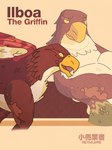 brown_body brown_feathers countershading eye_markings feathers feral male markings muscular muscular_feral red_wings scales solo wings adamphoebe mythology ilboa_the_griffin avian gryphon mythological_avian mythological_creature hi_res model_sheet