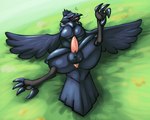 avian balls corviknight feathered_wings feathers feet feral generation_8_pokemon genitals grass hi_res lying male nintendo nova_nsfw on_back on_ground penis plant pokemon pokemon_(species) raised_leg solo spread_legs spreading tail tail_feathers talons toes wings
