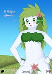 anthro anthrofied blush bottomless clothed clothing convenient_censorship female hair leaf_clothing pokemorph solo text white_body commandg nintendo pokemon generation_4_pokemon land_forme_shaymin legendary_pokemon pokemon_(species) shaymin