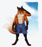 2_tails 4_arms 4_nipples 4_pecs anthro bottomwear clothing digitigrade eyewear male multi_arm multi_limb multi_nipple multi_pecs multi_tail multifur nipples pecs shorts solo standing sunglasses tail skollyson chipfox canid canine fox mammal red_fox true_fox hi_res