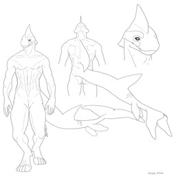 animal_genitalia cetacean_tail fin genital_slit genitals male scar solo split_form tail kzo_arts atlaua_(character) aquatic cetacean dolphin mammal merfolk oceanic_dolphin orca toothed_whale 1:1 hi_res monochrome