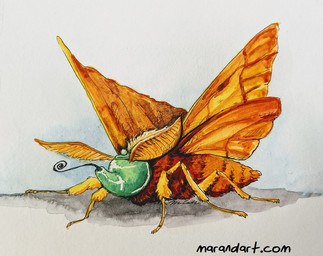 6_legs ambiguous_feral ambiguous_gender antennae_(anatomy) arthropod_abdomen eyeless feral for_a_head insect_wings invertebrate_proboscis lepidopteran_wings marandart orange_body orange_wings proboscis_(anatomy) solo teapot text wings arthropod insect lepidopteran moth object_head 2020 painting_(artwork) traditional_media_(artwork) traditional_painting_(artwork) url watercolor_(artwork)
