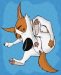 anatomically_correct anatomically_correct_pussy animal_genitalia autocunnilingus balls canine canine_pussy dog female feral german_shepherd mammal marjani masturbation oral pussy russian space_dogs strelka wet
Rating: Explicit
Score: 2
User: xes
Date: July 05, 2013
